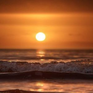 Meet your Posher, Richard